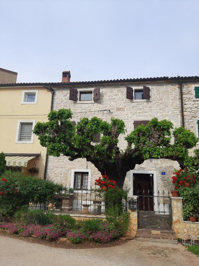 Villa Casa Girasole Buje Exterior foto